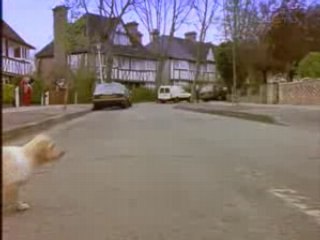 Y veux jouer le chien chien