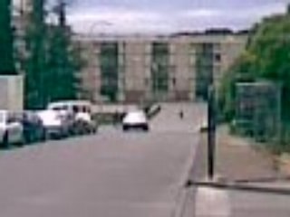 zup sud fifi ki tort