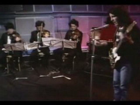 Sensational Alex Harvey Band - Next