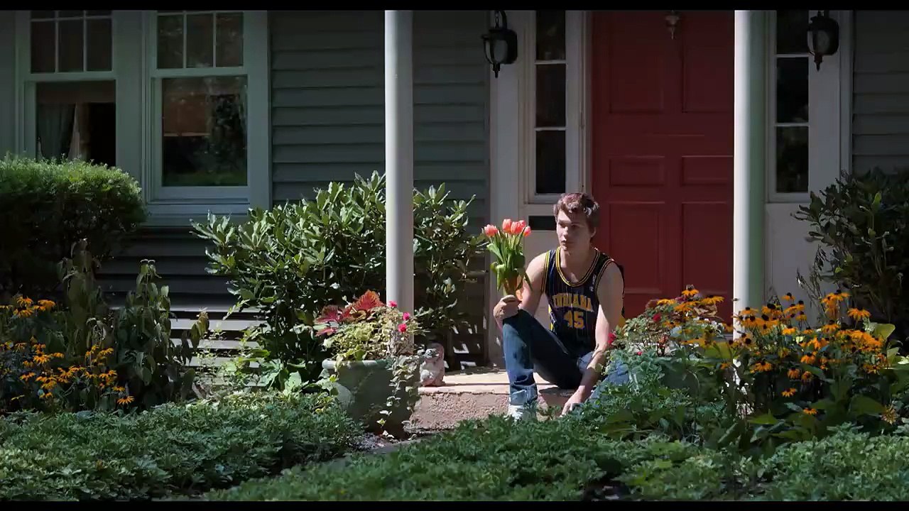 Nos étoiles contraires