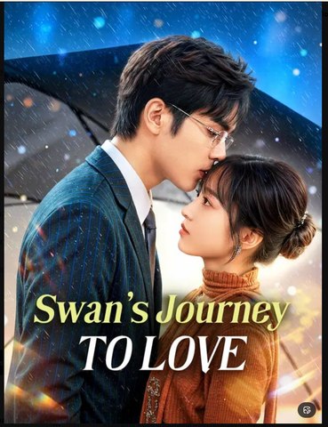 Swan's Journey to Love Drama Movies English Sub