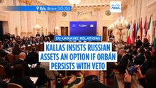 Kallas insists Russian assets are an option if Orbán doesn't lift veto on Ukraine loan