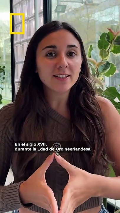 La curiosa historia de las casas de Ámsterdam