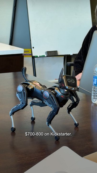 Hengbot Sirius Robot Dog