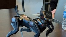 Hengbot Sirius Robot Dog