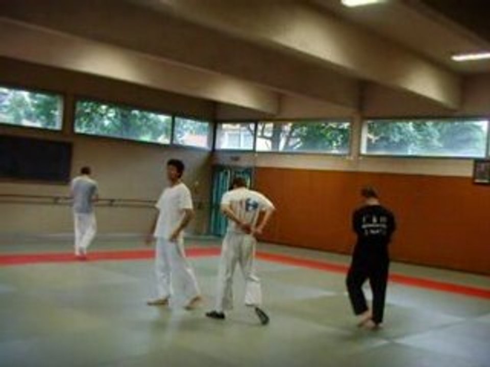 yoseikan budo lyon