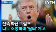 "푸틴도 알고 있다" 조롱..."트럼프, 나토 탈퇴 강력 검토" [지금이뉴스]  / YTN