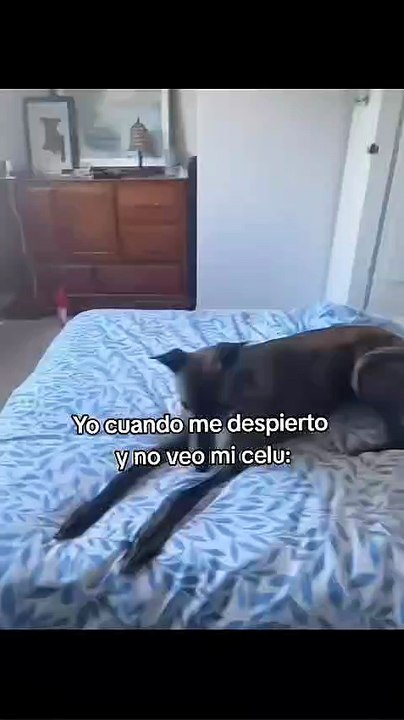 Mi celular :)