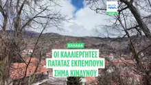 Οι πατατοπαραγωγοί της Άνω Βροντούς στέλνουν σήμα κινδύνου - Χιλιάδες τόνοι πατάτας σαπίζουν