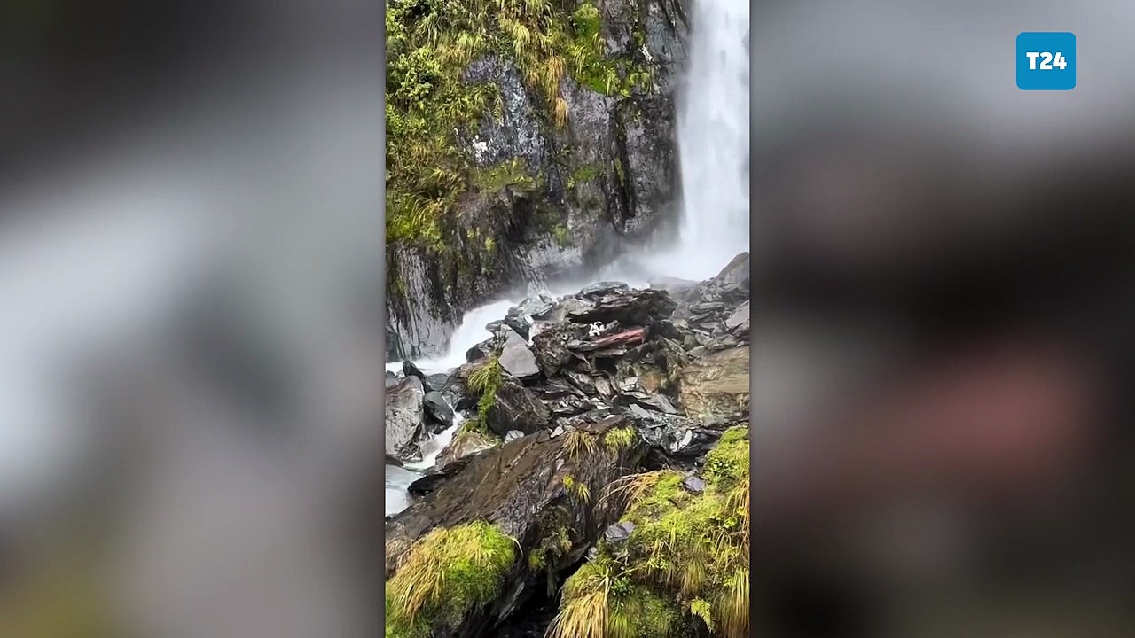 Dağ yürüyüşünde sahibini kaybetmişti: Bir hafta boyunca aynı noktada bekleyen köpek helikopterle kurtarıldı