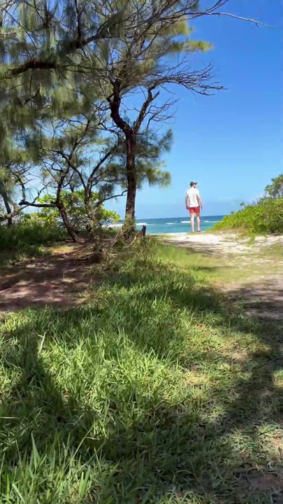 LA BEAUTE de l'arrière des plages à Maurice