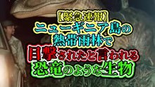 【緊急速報】 ニューギニア島の熱帯雨林で 目撃されたと言われる 恐竜のような生物