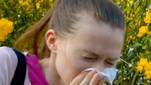 Some Would Take a Pay Cut to Dodge Seasonal Allergies