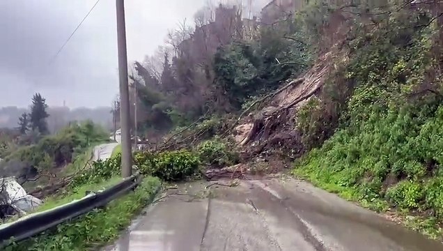 Image from field_mediaid