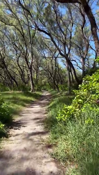 PETIT COIN de paradis à l'Île Maurice