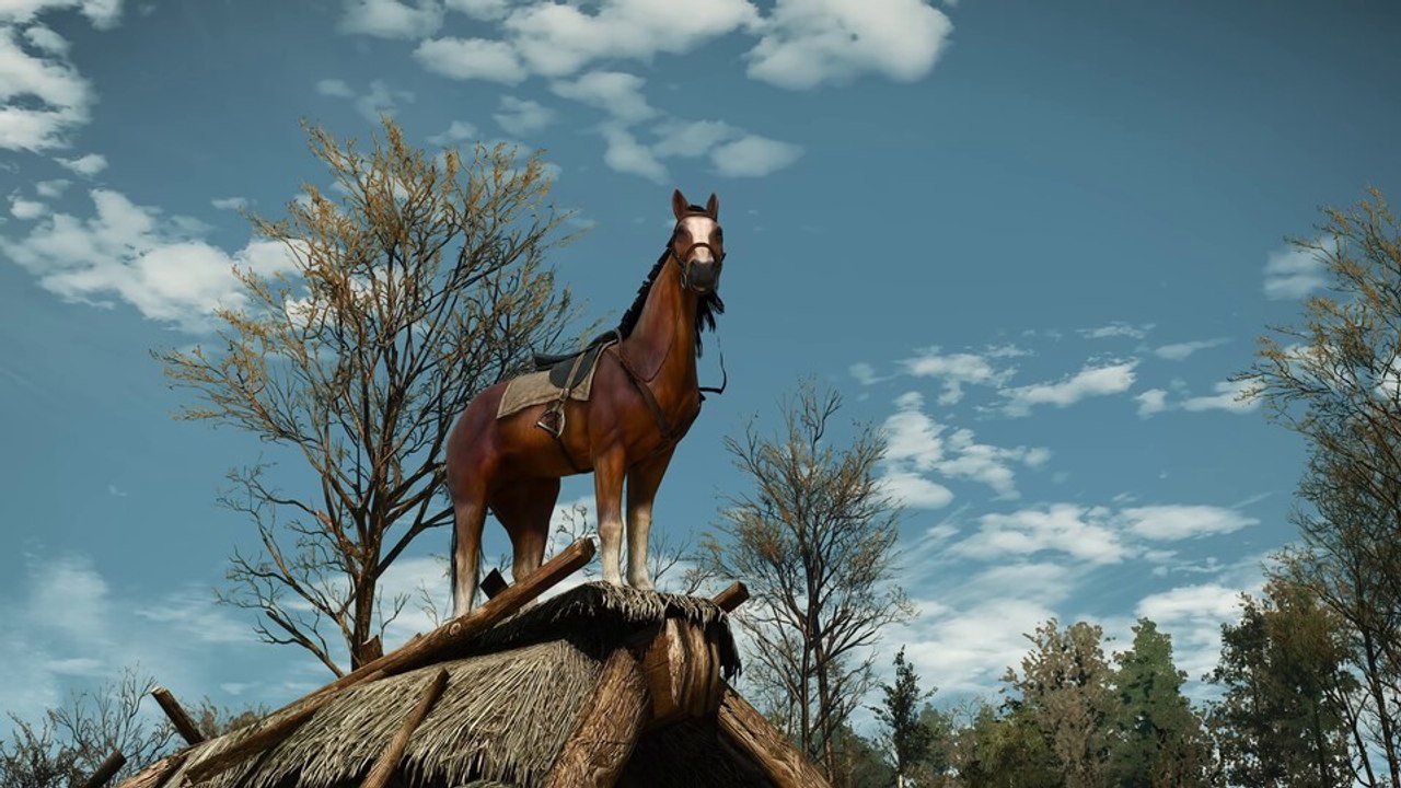 »Ihr Schweine« - CD Projekt Red kündigt am 1. April etwas Neues für The Witcher 3 an und die Fans fallen voll drauf rein