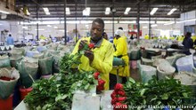 Kenya turns to China as Iran war slams flower exports
