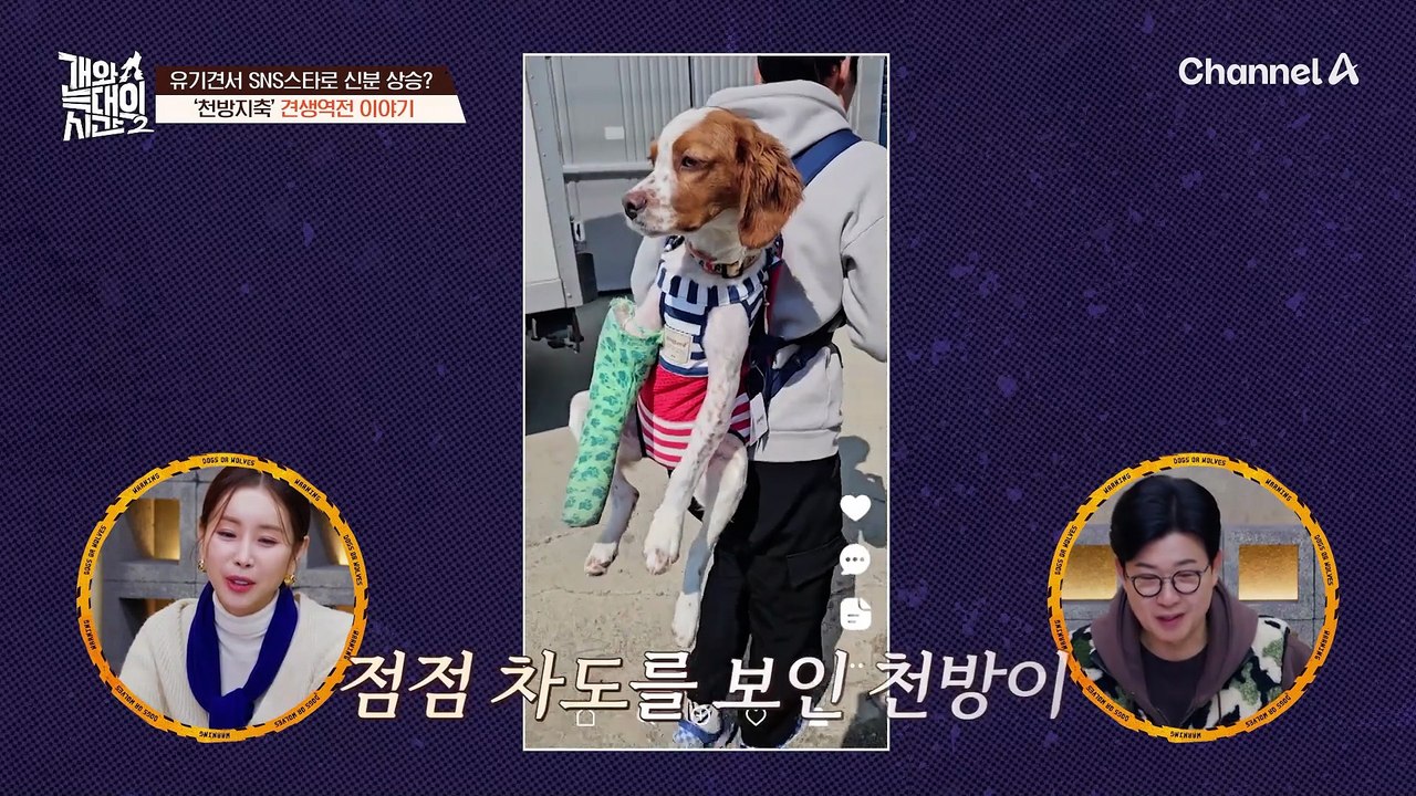 공장에 버려진 유기견이 SNS 스타가 되었다? 기적 같은 견생역전 스토리