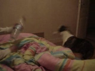 Chelsea Amstaff 06 mois