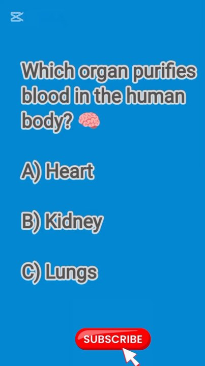 Quiz challenge???