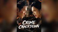 Crime Crackdown Full Chinese Drama