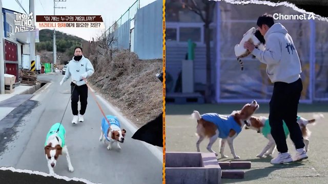 월급 받으면서 관리한 거 아니에요? 쉴 틈 없는 강형욱의 질문! 당황한 보호자