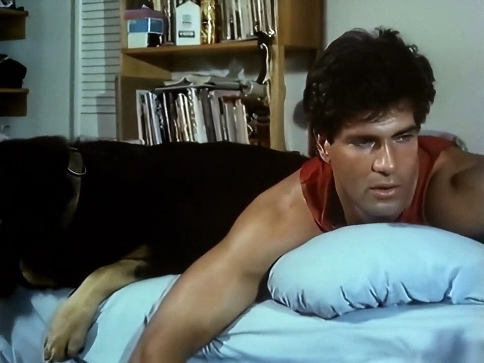 Special Agent Hammer