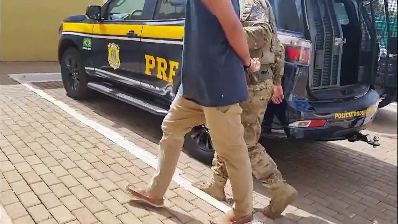 Cães farejadores da PRF localizam 27 kg de maconha na BR-277, em Cascavel