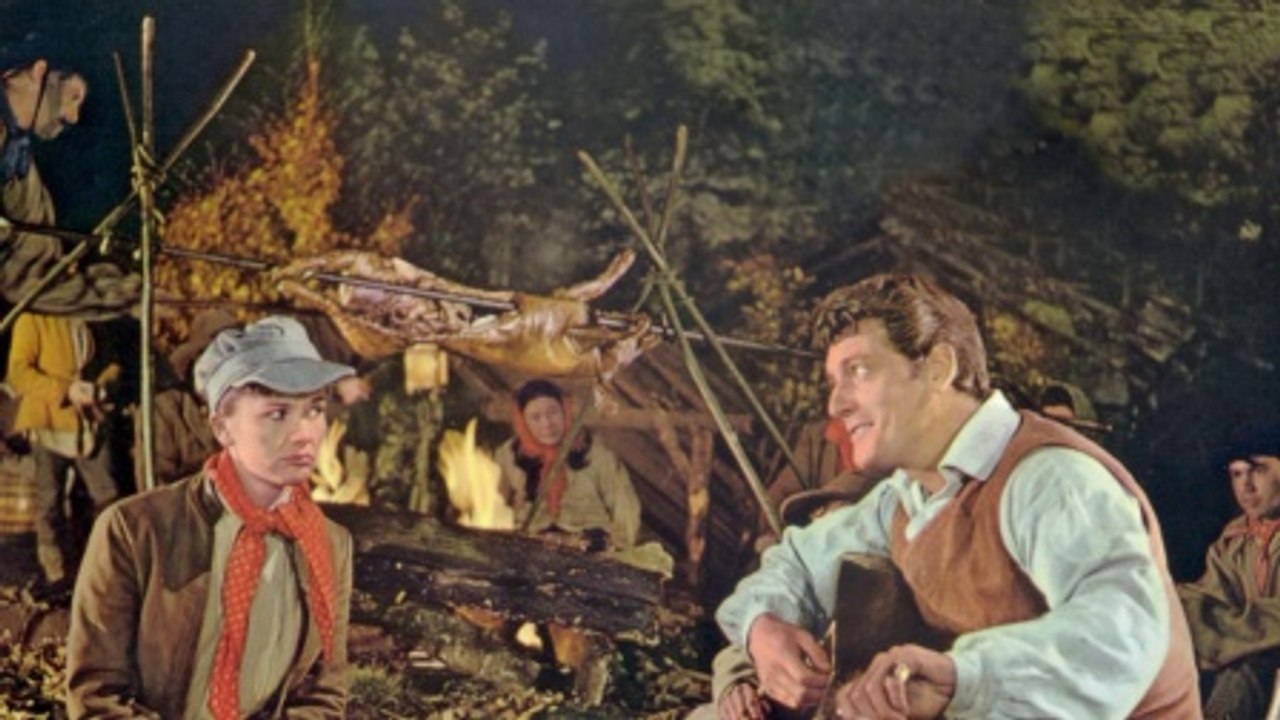 Das Wirtshaus im Spessart | Komödie