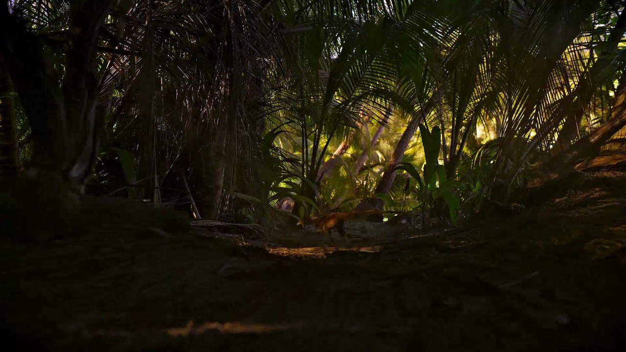 Los dinosaurios 01 - Ascenso 🥚