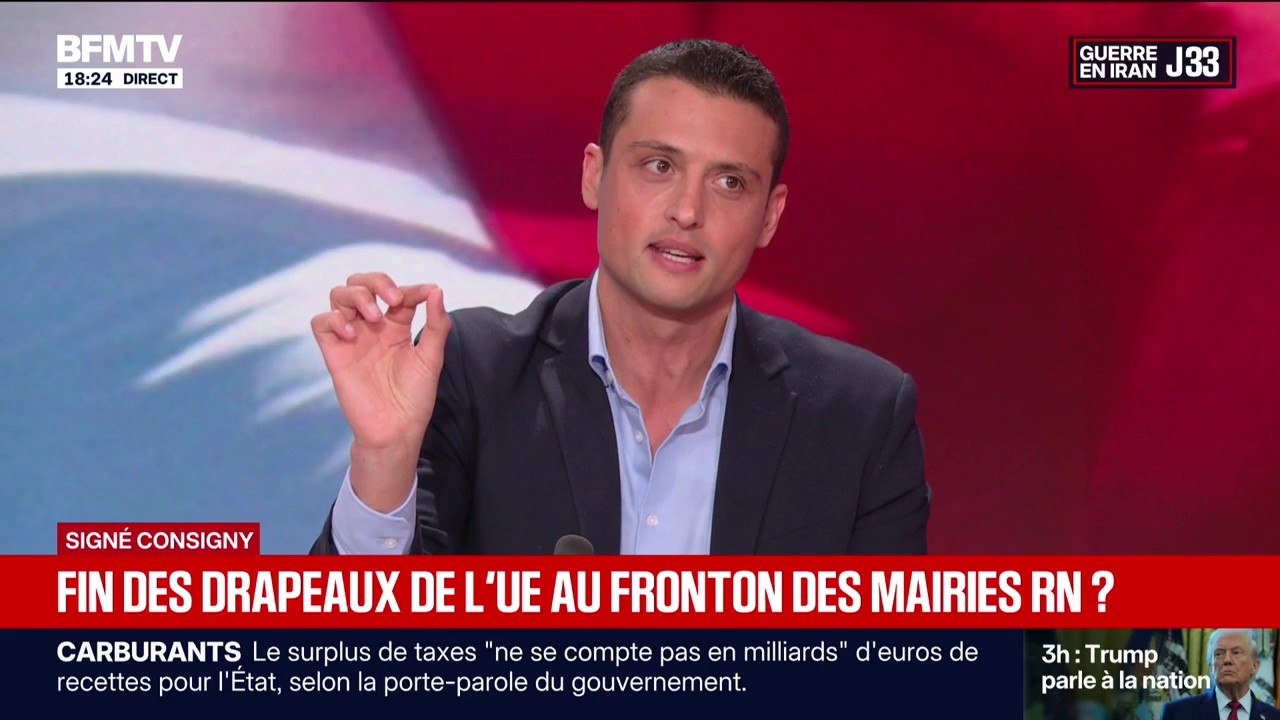 Retrait du drapeau de l'UE sur des mairies RN: "C'est un acte de protestation", affirme Aleksandar Nikolic, eurodéputé RN