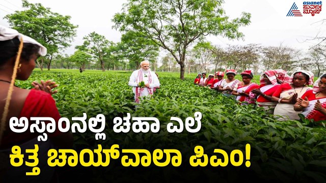 ಅಸ್ಸಾಂ ಚಹಾ ತೋಟದಲ್ಲಿ ಮೋದಿ: ಕೆಲಸಗಾರರ ಜೊತೆ ಎಲೆ ಕಿತ್ತ ಪ್ರಧಾನಿ! | PM Modi Assam visit | Suvarna News