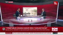 Mustafa Çiftçi: Sahipsiz sokak hayvanlarının yüzde 75'i şu anda toplanmış durumda