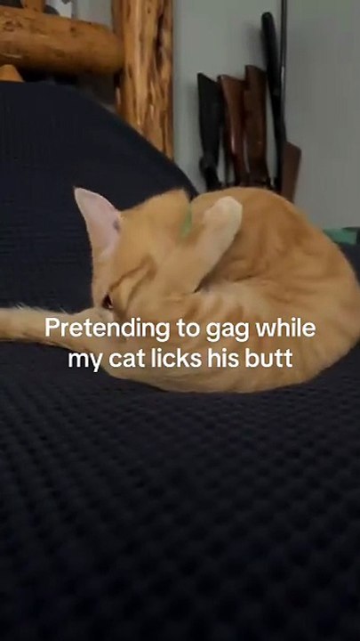 Why did it make its mouth like that? 😂#cat #cats