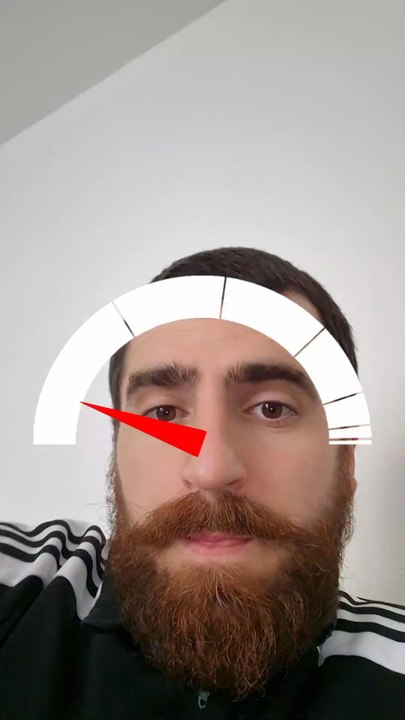 Precision Coloring