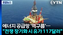 에너지 공급망 '먹구름'..."전쟁 장기화 시 유가 117달러" / YTN