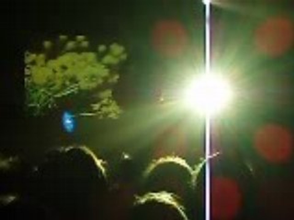 Cocoon baby seal europavox 2008