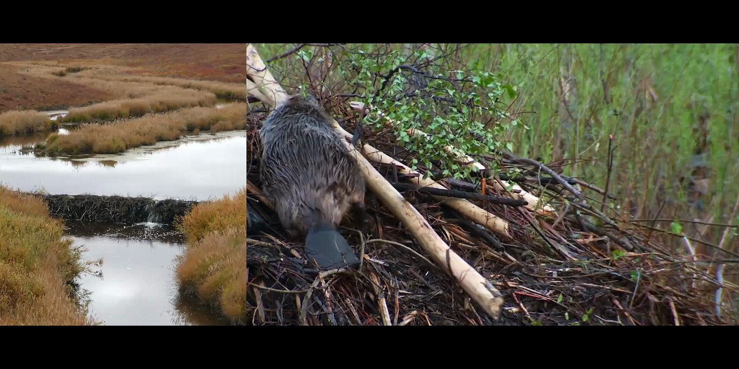 La terra sull’abisso Streaming Serie TV Stagione 1 Episodio 3 Streaming ITA HD 2025