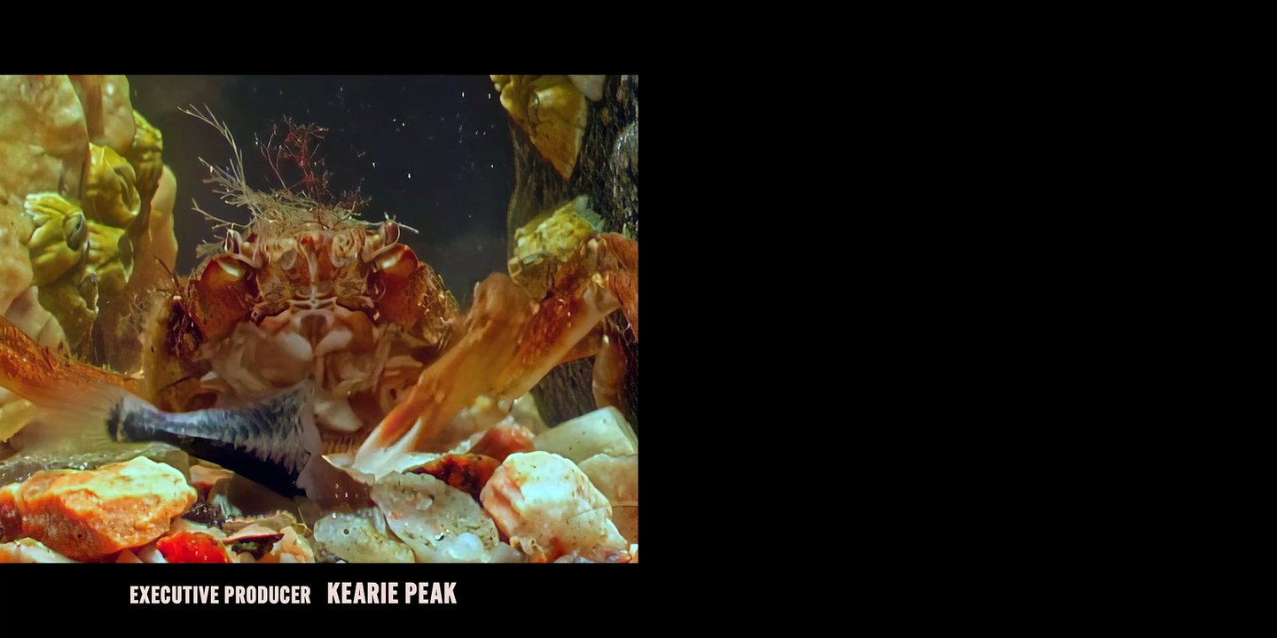 La terra sull’abisso Streaming Serie TV Stagione 1 Episodio 5 Streaming ITA HD 2025