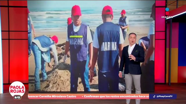 Gobierno federal investigará derrame de hidrocarburos en el Golfo | DPC con Paola Rojas