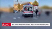 Budama yaparken kolu kesildi, ambulansta kalp krizi geçirdi