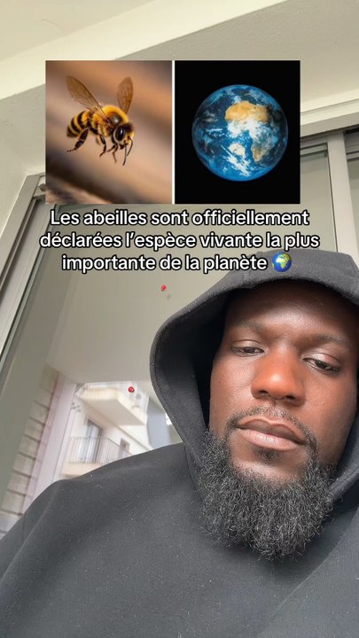 Elles sont importantes oui mais pas autour de moi please 😅 | abonne toi si ta chaud des abeilles