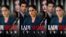 Lady Shark In Law