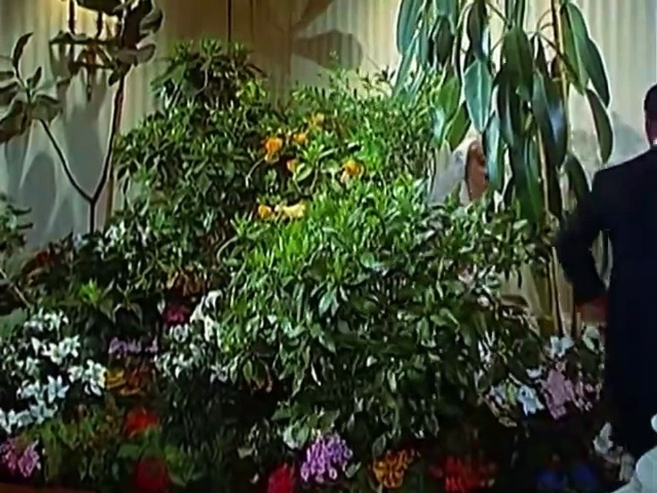 Siebenmal in der Woche (1957)