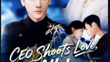 Ceo Shoots Love All-In Drama