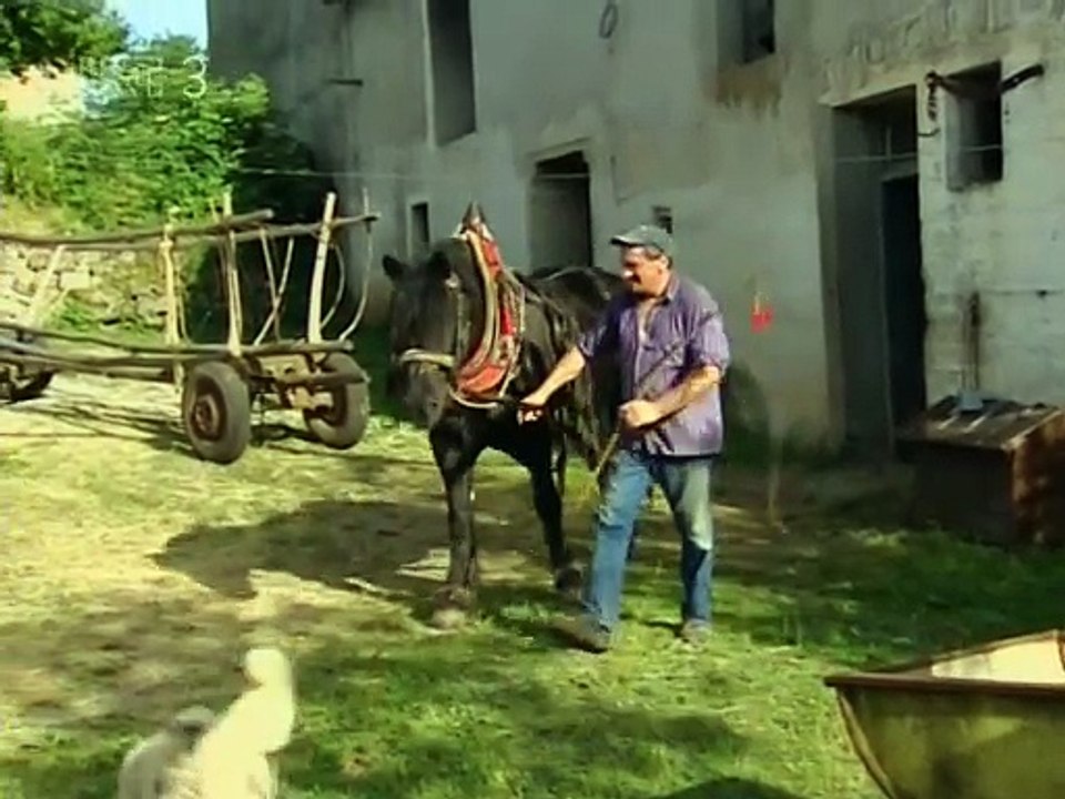 Ćiribirci 2006.