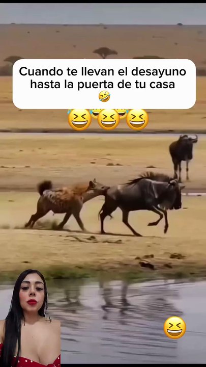 مثل "تيجي تصيده يصيدك"