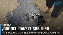 ¿Qué ocultan? El gobierno no es claro con el derrame del Golfo de México