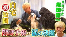 坂上どうぶつ王国 ABC-Z塚田の愛犬が断脚・・・手術と闘病全記録 - 2026年03月27日