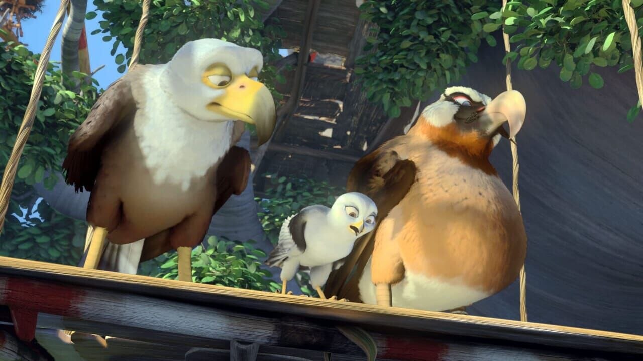 Drôles d'oiseaux